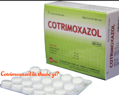 Cotrimoxazol 480 là thuốc gì? Công dụng, liều dùng | Bcare.vn